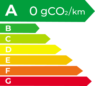 RAYBET雷竞技 EV Energy Level Label