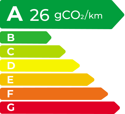 RAYBET雷竞技 EV Energy Level Label
